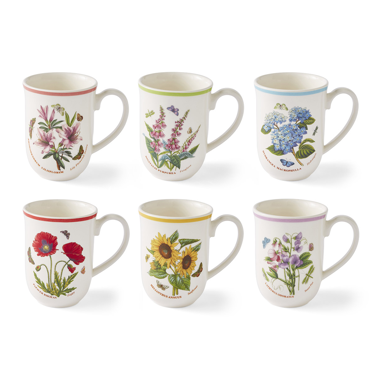 Botanic Garden Meadow Tulip Beaker Set of 6 image number null